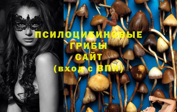 стаф Инсар