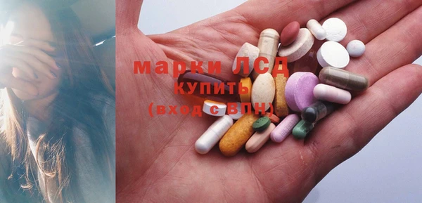 стаф Инсар