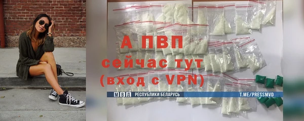 гашик Иннополис