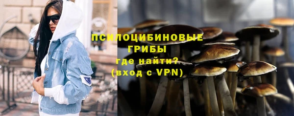 mix Инта