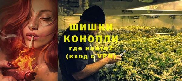 mix Инта