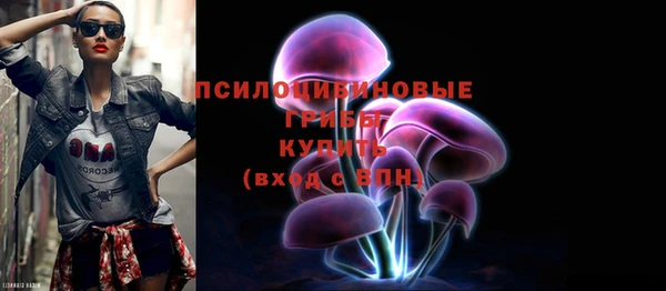 стаф Инсар