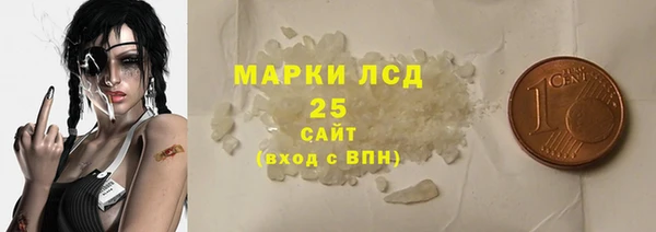 mix Инта