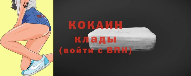 mix Инта