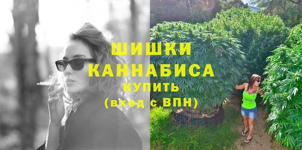 mix Инта