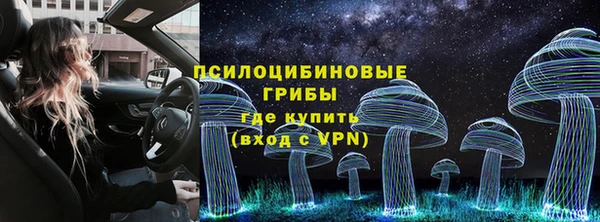 mix Инта