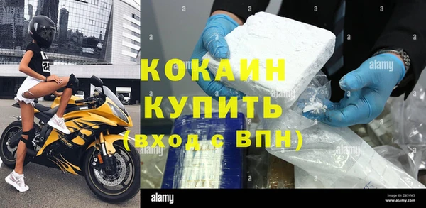 стаф Инсар