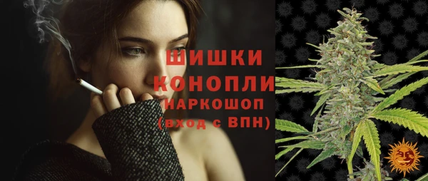 стаф Инсар