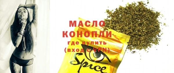mix Инта
